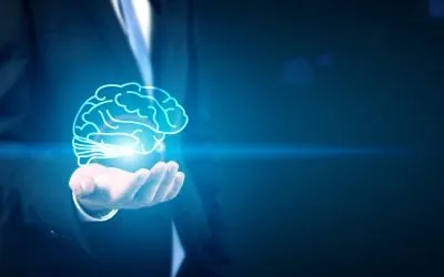 LEAP’s Knowledge Base