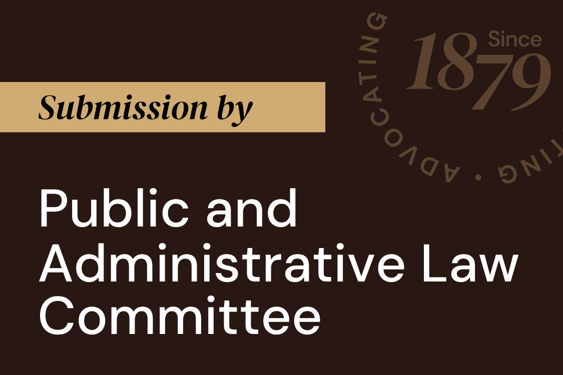 TLANZ Public and Administrative Law Committee